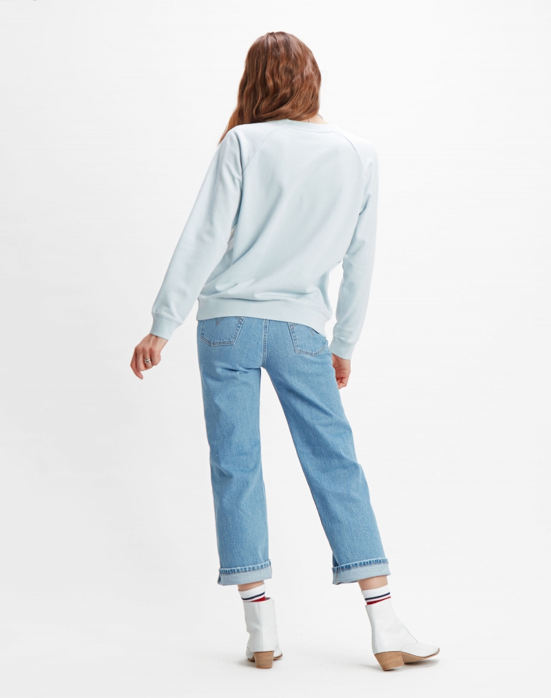 Sudadera de mujer de cuello redondo, modelo 85626-0001, de color azul - 2 - La Casa Dels Pantalons