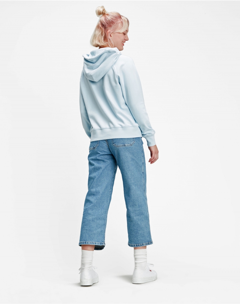 Sudadera de mujer con capucha Levi's, modelo 35946-0165, de color azul - 3 - La Casa Dels Pantalons