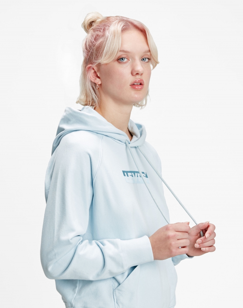 Sudadera de mujer con capucha Levi's, modelo 35946-0165, de color azul - 2 - La Casa Dels Pantalons