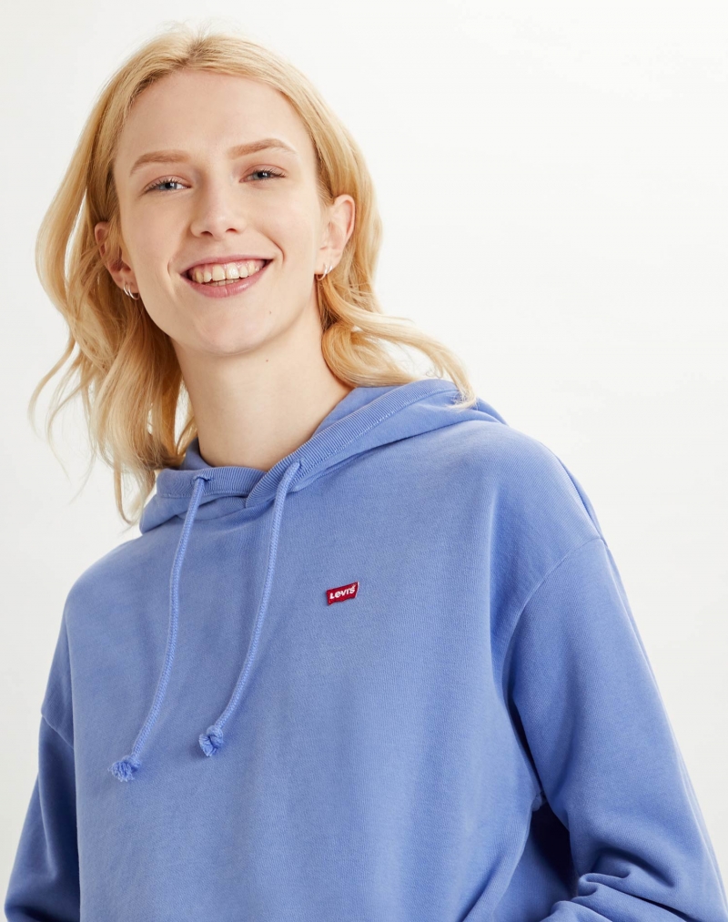 Sudadera de mujer Levi's con capucha, modelo 24693-0003, de color azul - 2 - La Casa Dels Pantalons