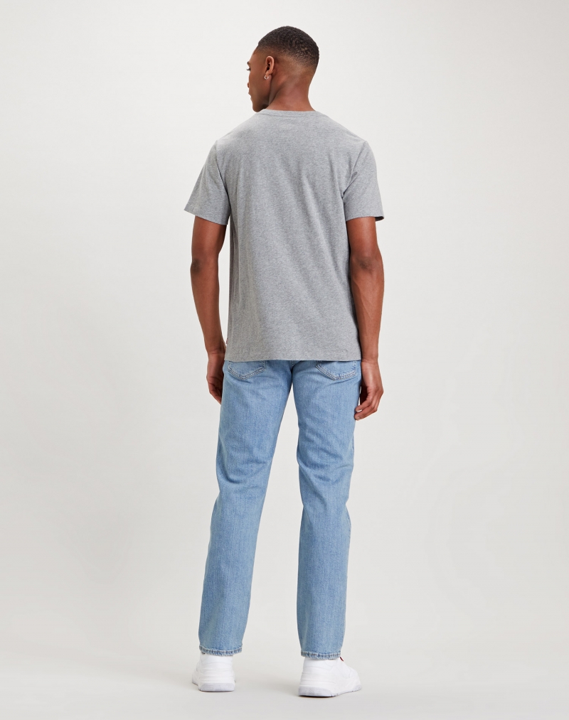 Samarreta d'home Levi's de màniga curta, model 22489-0298, de color gris - 2 - La Casa Dels Pantalons