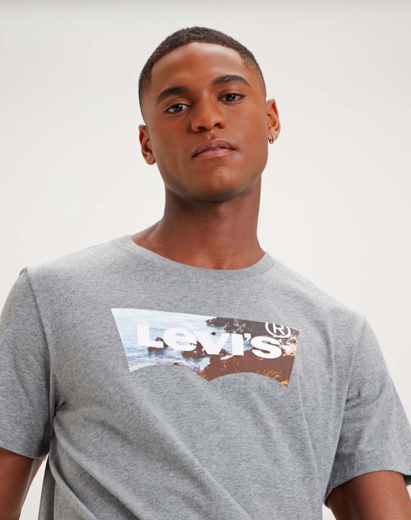 Samarreta d'home Levi's de màniga curta, model 22489-0298, de color gris - 3 - La Casa Dels Pantalons