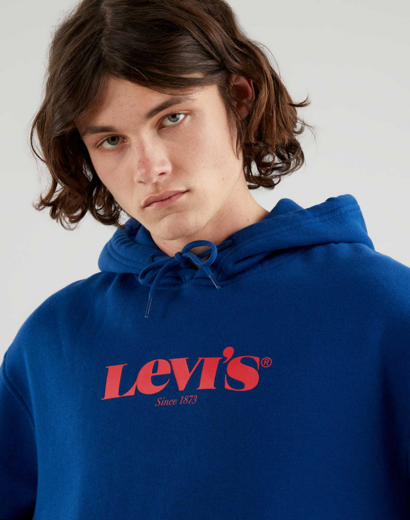 Sudadera de hombre con capucha Levi's 38821-0025 azul marino - 2 - La Casa Dels Pantalons