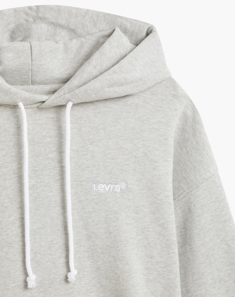 Sudadera de hombre con capucha Levi's, A0747-0007, gris - 2 - La Casa Dels Pantalons