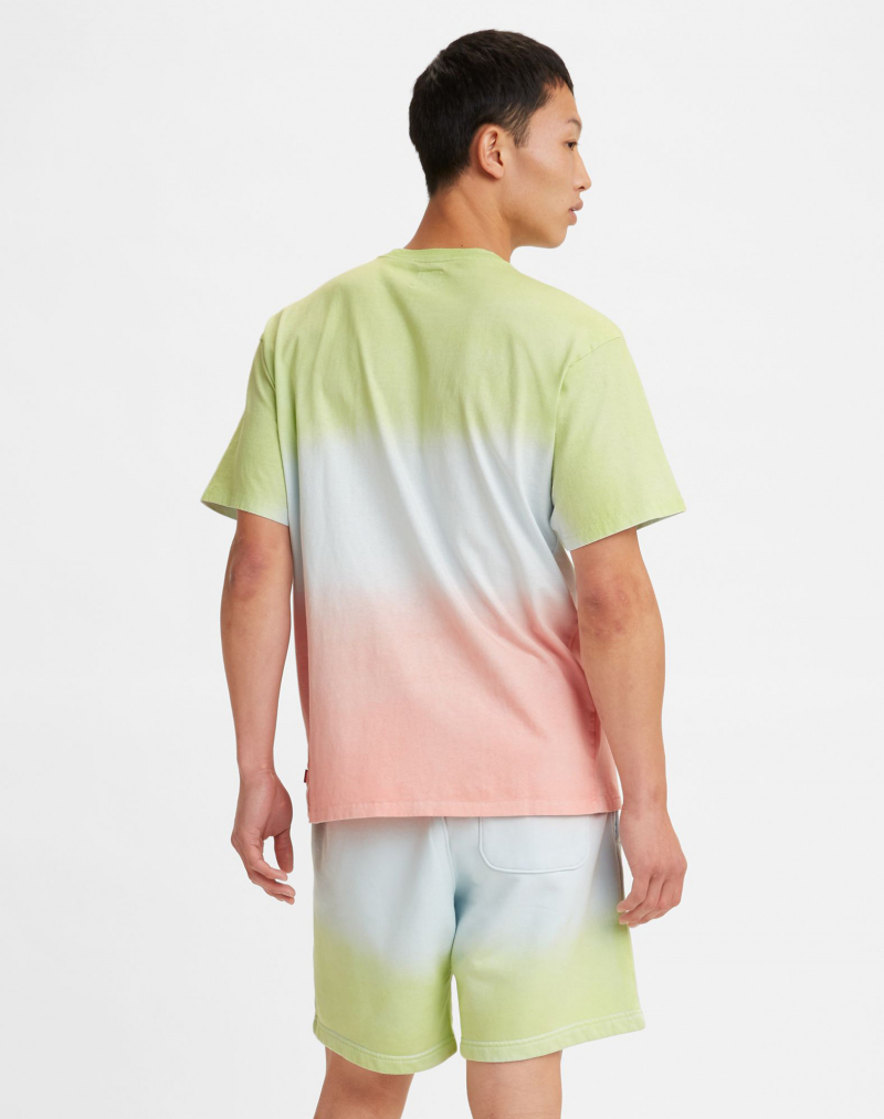 Camiseta de hombre de m/c Levi's, A0637-0020, de diferentes colores - 2 - La Casa Dels Pantalons
