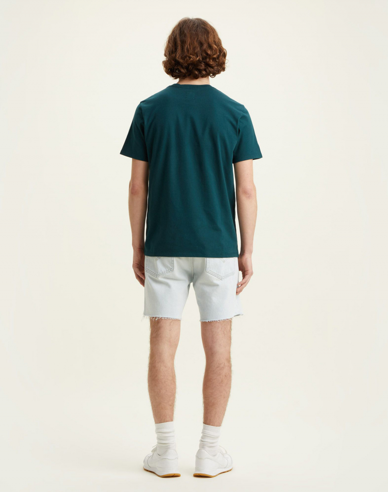Camiseta de hombre de manga corta Levi's, modelo 56605-0140, verde - 2 - La Casa Dels Pantalons