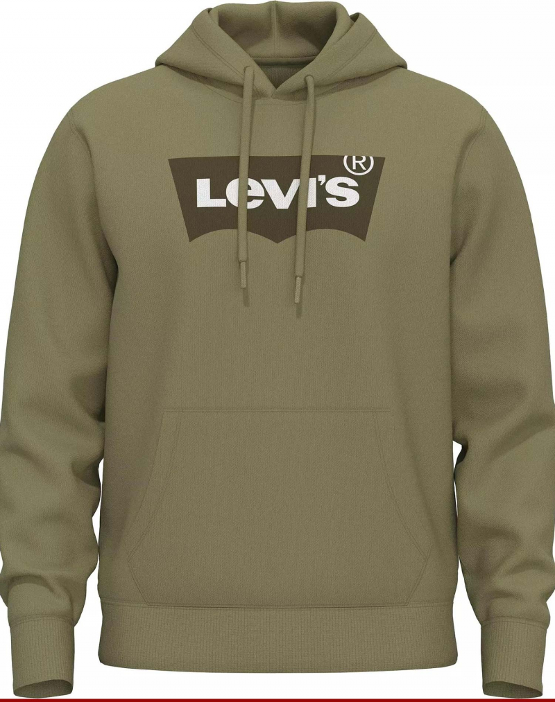 Sudadera de hombre con capucha Levi's, modelo 38424-0019, caqui - 3 - La Casa Dels Pantalons