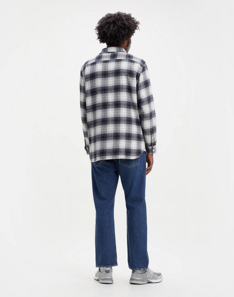 Camisa d'home de màniga llarga Levi's, model 19573-0171, de quadres negres - 3 - La Casa Dels Pantalons