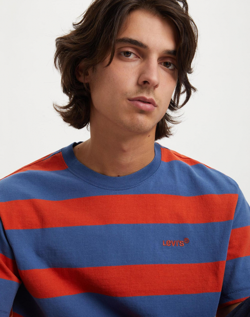 Camiseta de hombre de manga corta Levi's, modelo A0637-0055, de franjas azules y rojas - 2 - La Casa Dels Pantalons