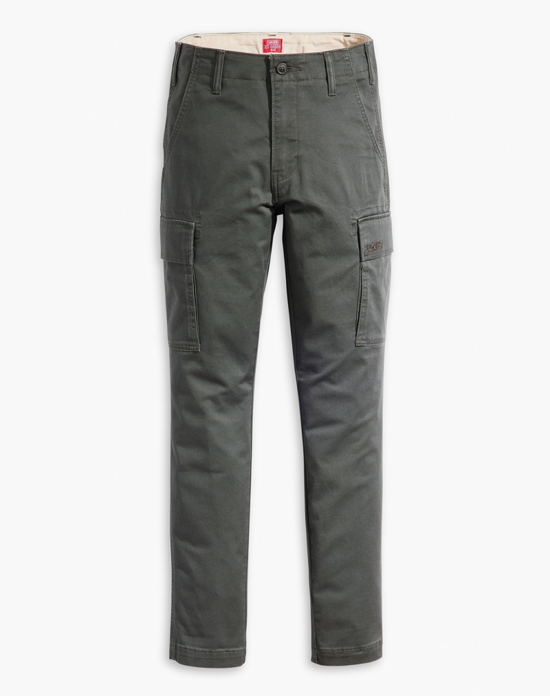 Pantalons cargo slim d'home Levi's®, model A7365-0000, gris fosc - 2 - La Casa Dels Pantalons